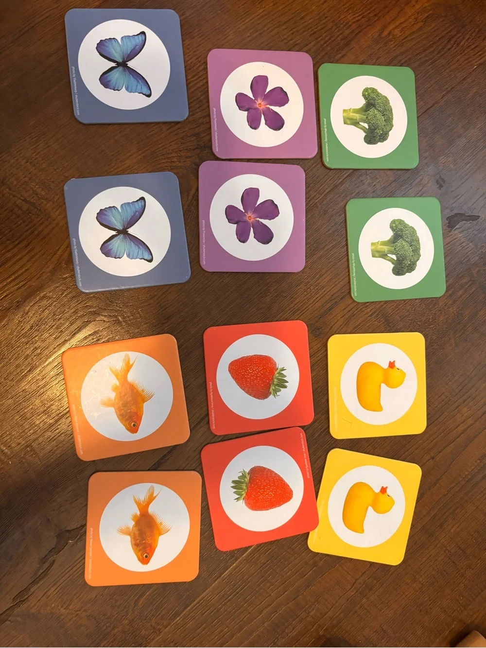 Kiwico Lets Experiment upgraded playkit 25-30 months